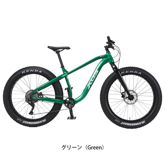 Xds Fat Bike マウンテンバイク 10段変速 の自転車写真