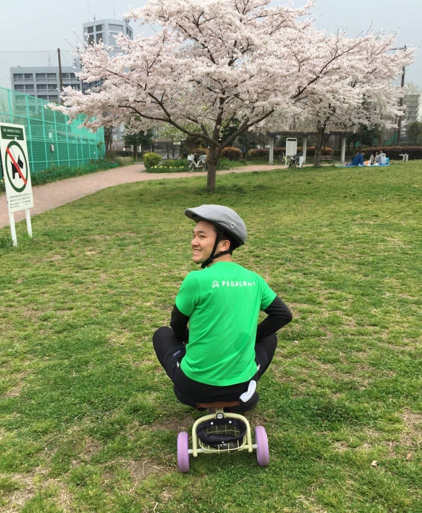 10桜が綺麗ですね