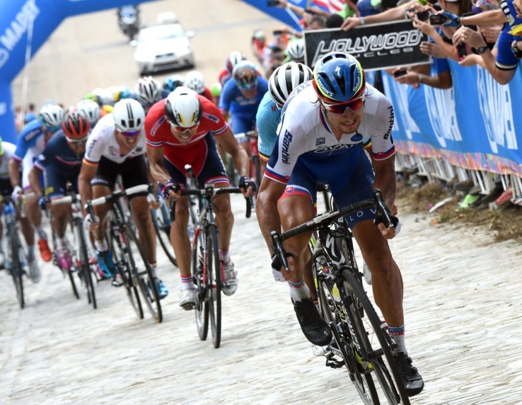 specialized_tarmac_sagan