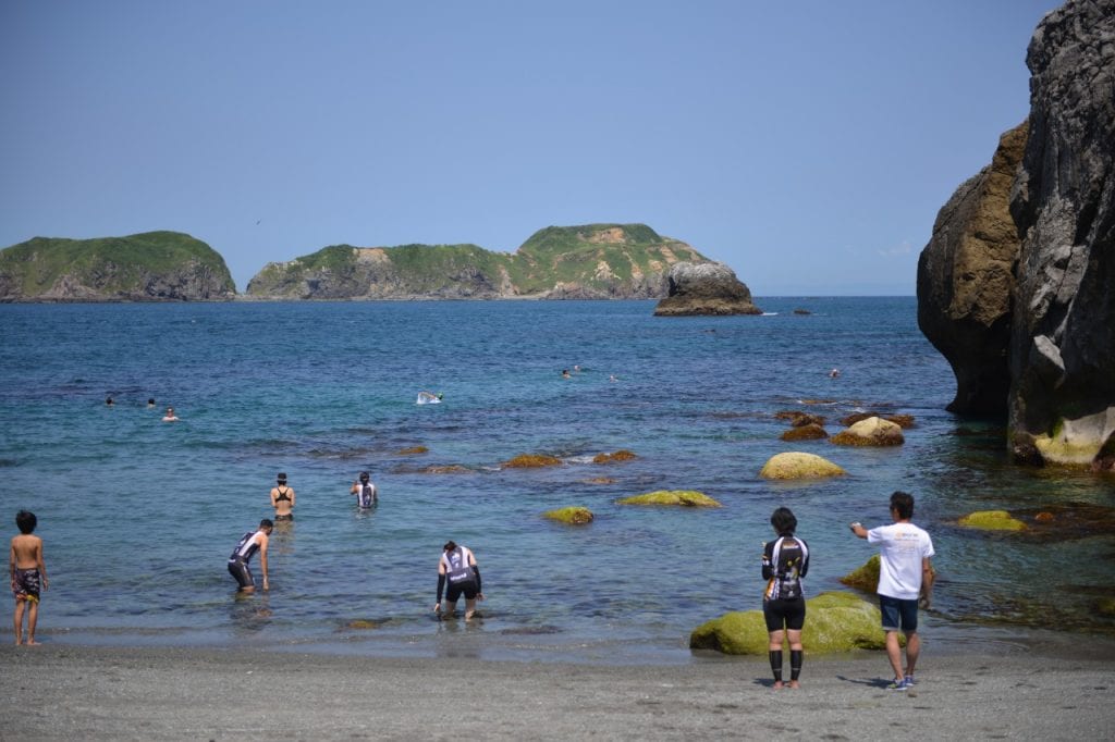 海で泳いだ