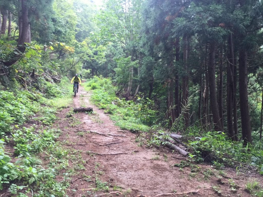 段差も飛び越える