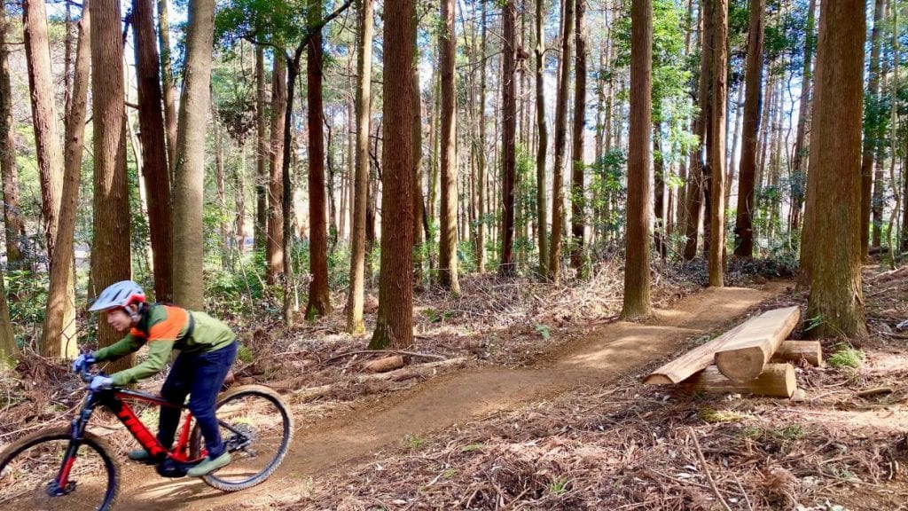 自転車で森を満喫