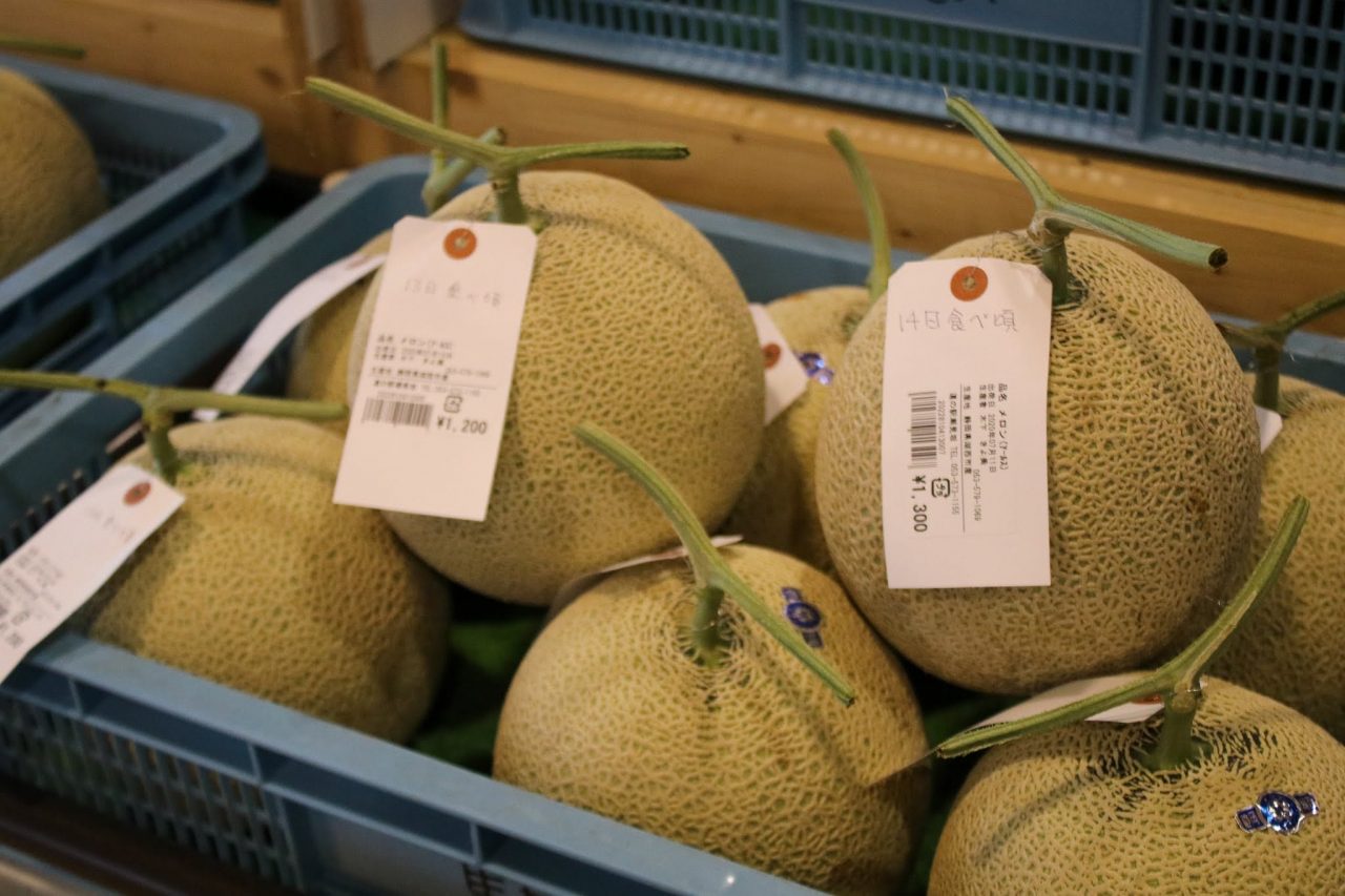 静岡特産のメロン