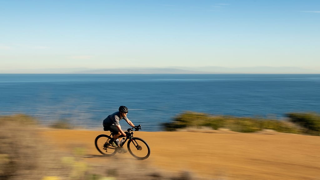 TREK checkpoint 2021