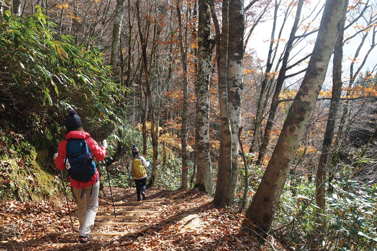 鏡野(岡山県)