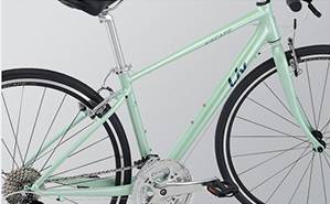 LIGHT WEIGHT FRAME