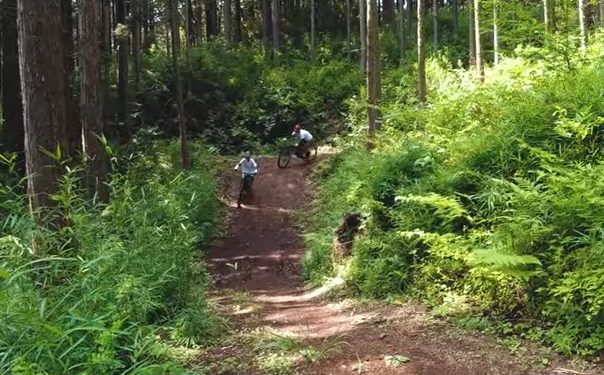 MTB