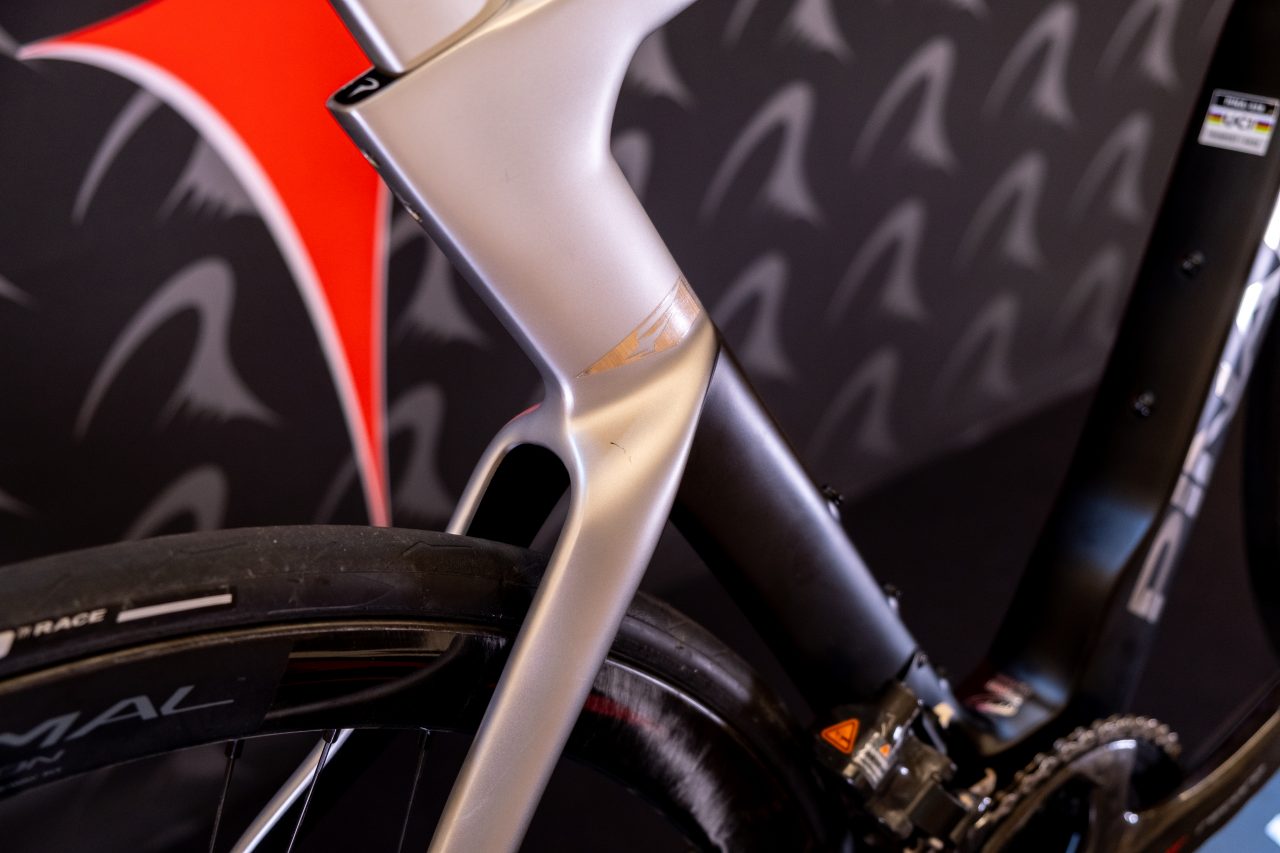 DOGMA F