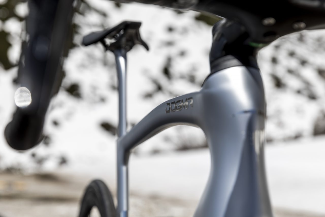 DOGMA F