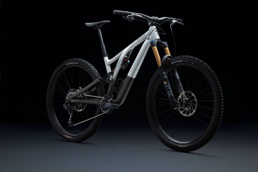 Stumpjumper EVO