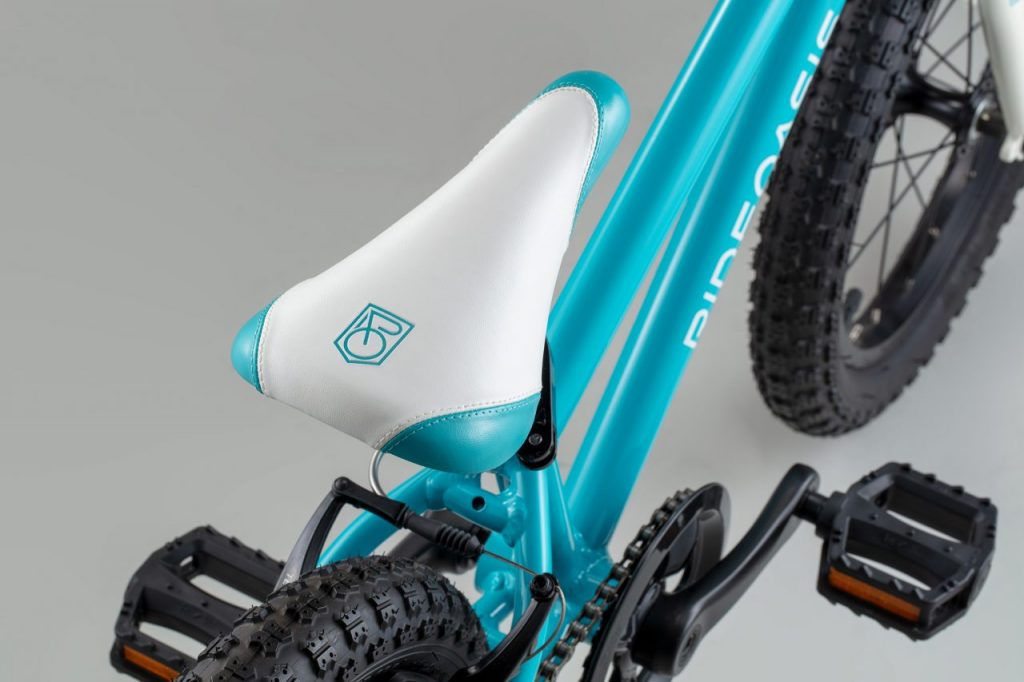 saddleblue
