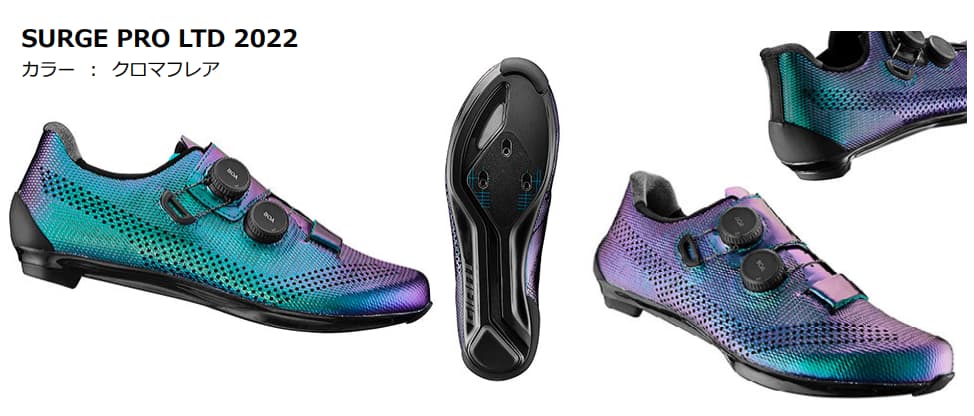 SURGE PRO LTD 2022