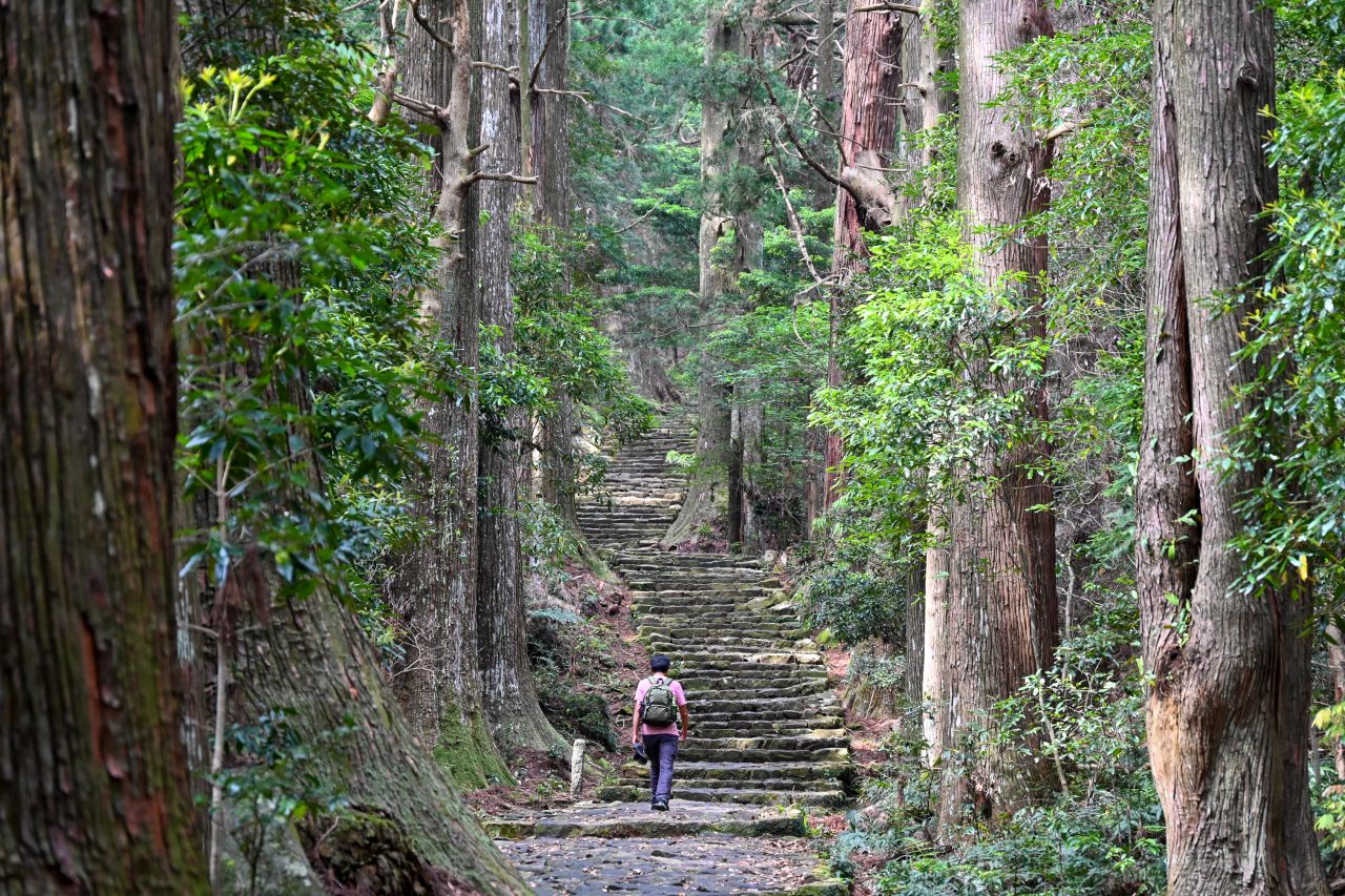 熊野古道大門坂