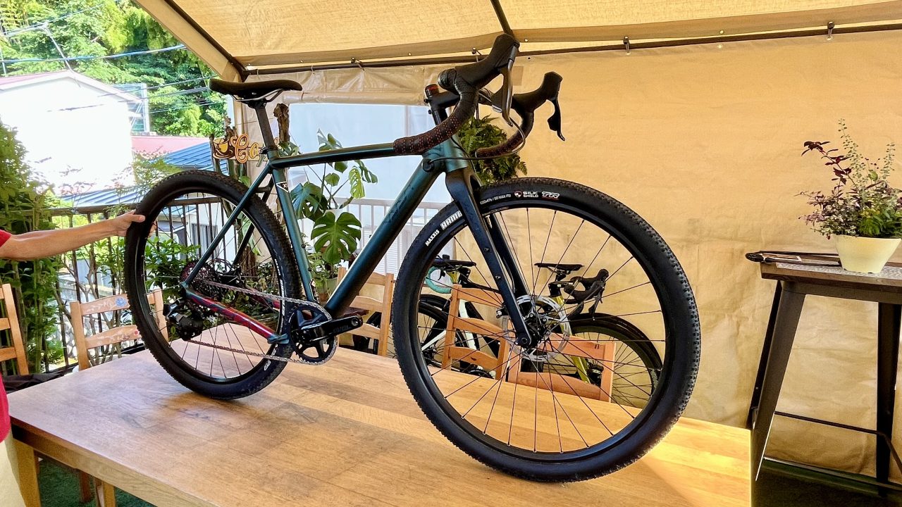 VAAST bikes