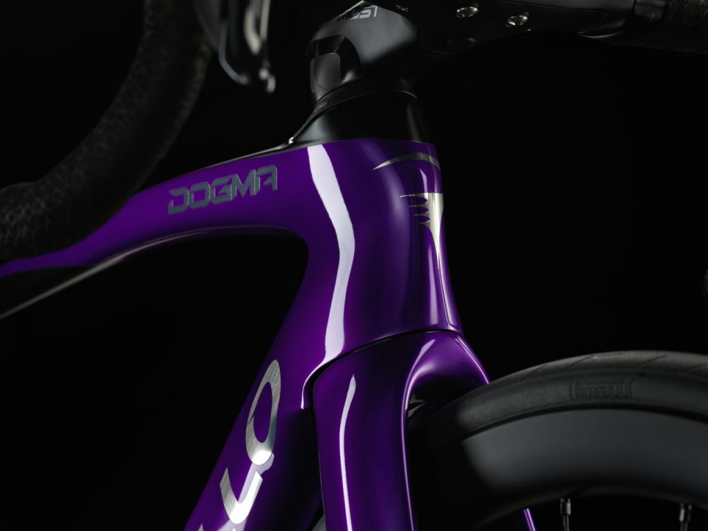 DOGMA F MY23