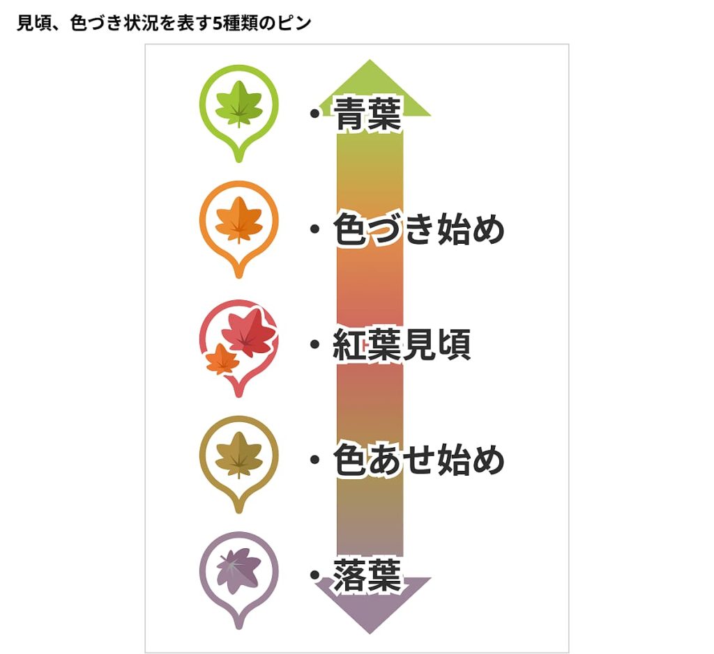 色づき状況と、色づき状況
