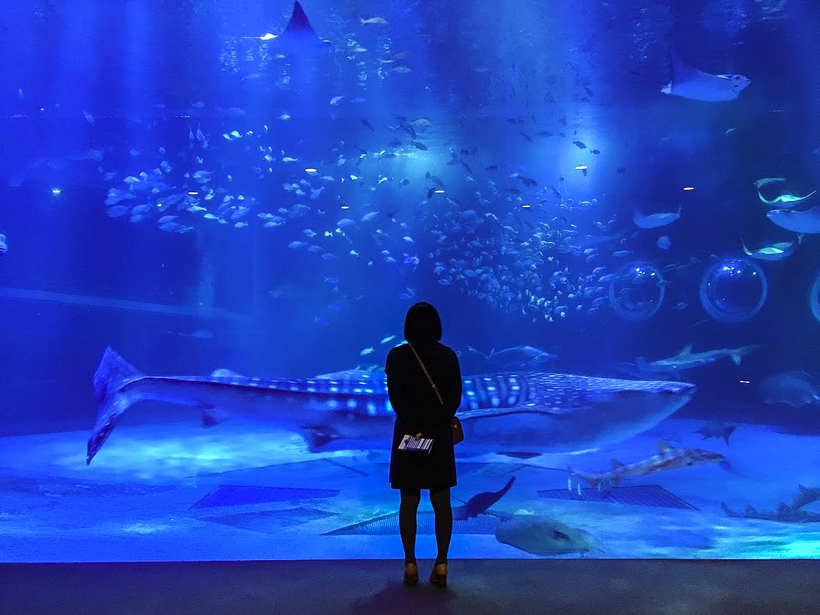 のとじま水族館