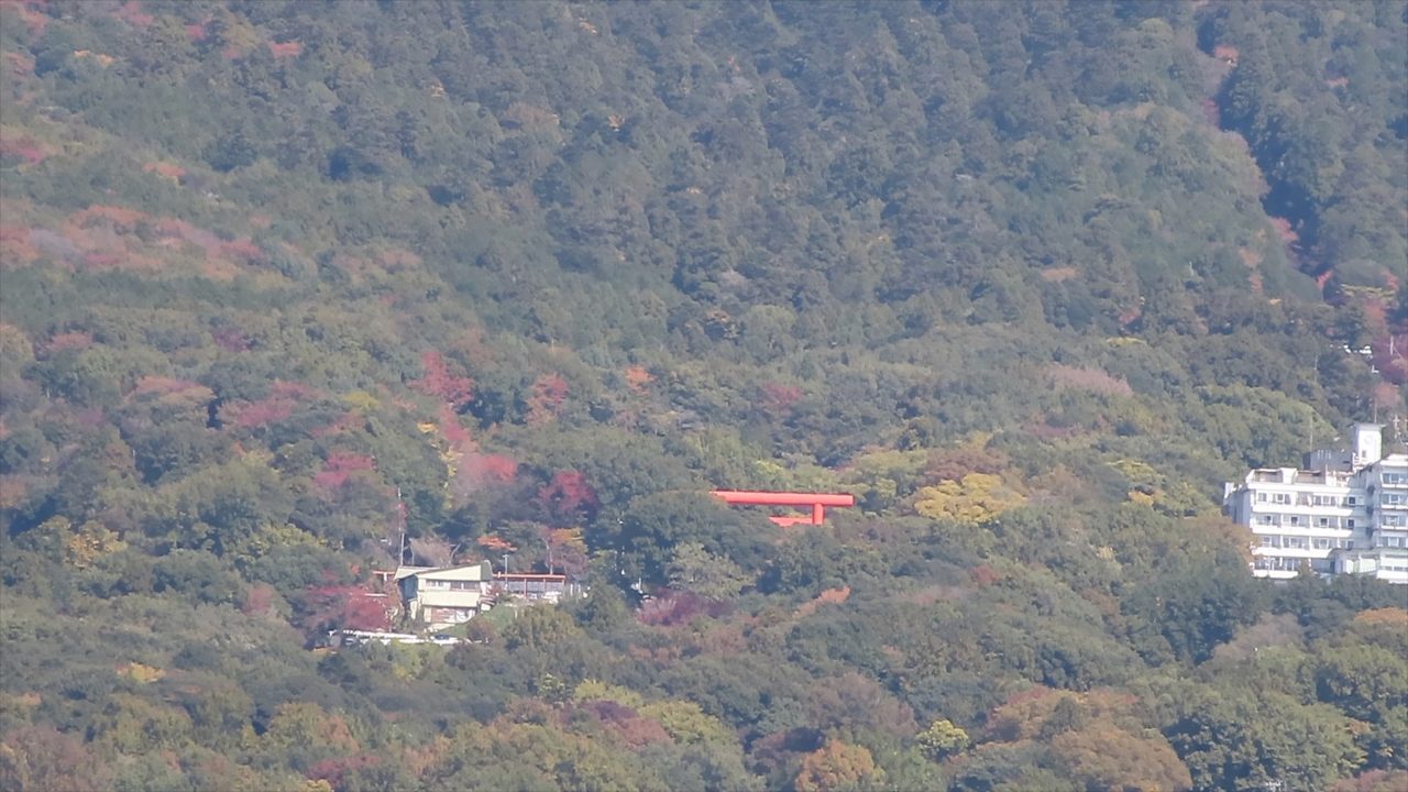 PowerShot ZOOM 800mm