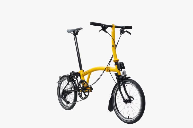 p line bumble bee low bar