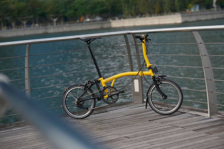 p line bumble bee