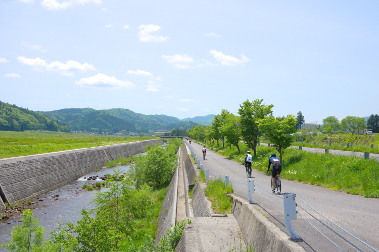 川沿い