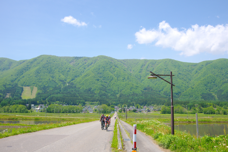 山の景色