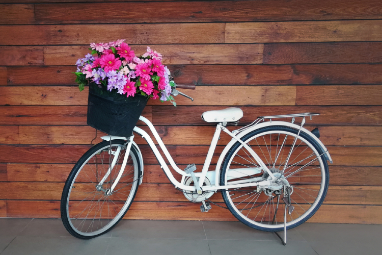 母の日 自転車(イメージ)
