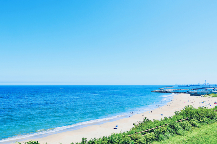 夏の海岸(画像はイメージ)
