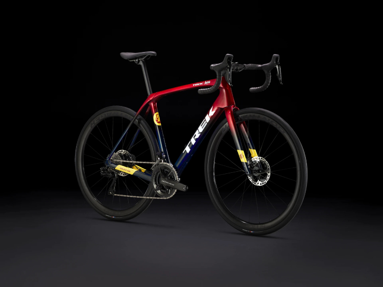 domane