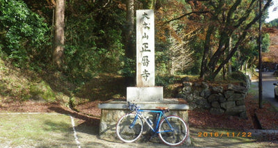 【奈良公園・正暦寺】紅葉狩りサイクリング