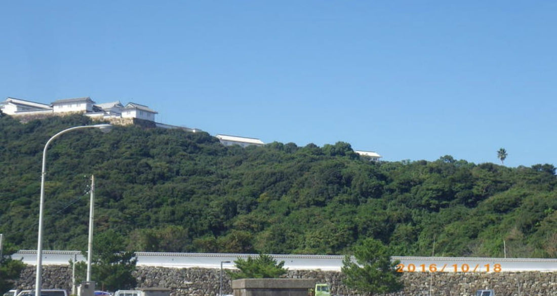 熊本をサイクリング！ - 島原～天草（河浦）エリア