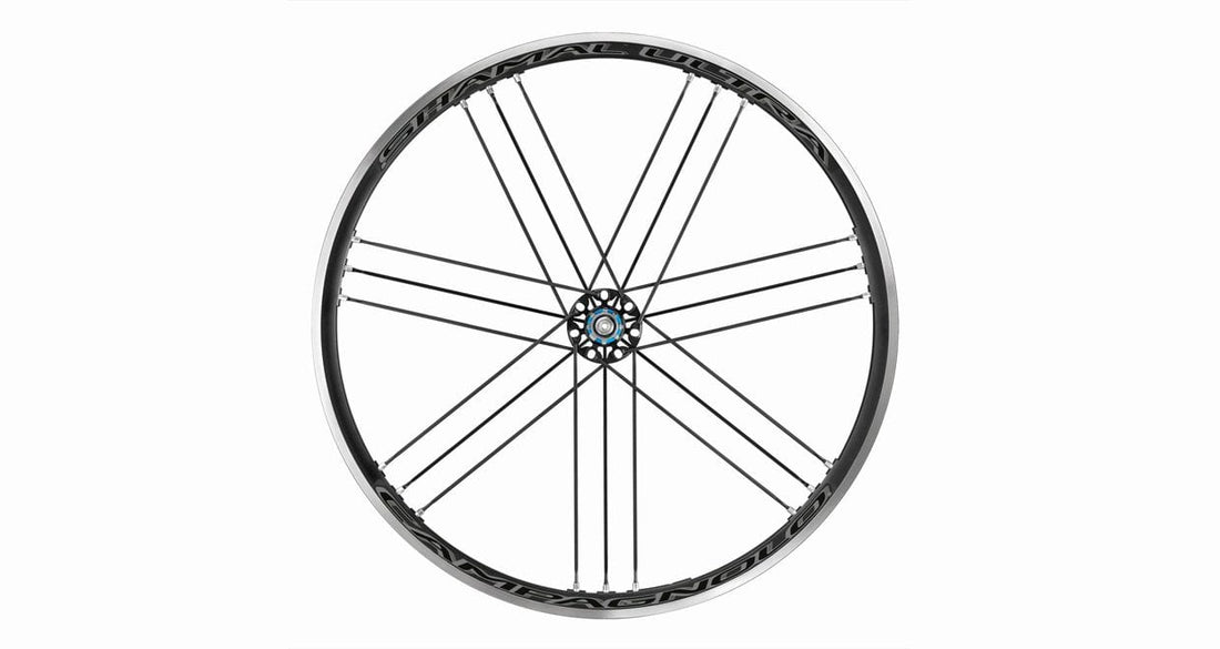 「Shamal Ultra クリンチャー」限定生産の”ダークラベル”販売