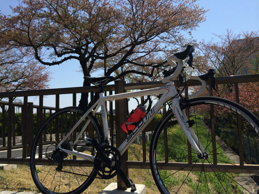 緑に囲まれてサイクリングを楽しむ！東京都内の公園サイクリングコース6選