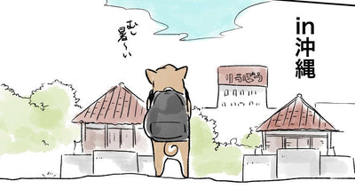 自転車で楽しむ沖縄旅行記– 佐倉イサミのまるしばポタリング記（その8）