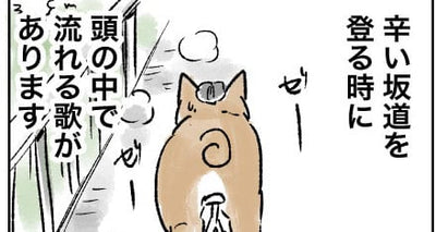 ヒルクライム中に脳内再生されるのはあの歌-佐倉イサミのまるしばポタリング記（その3）