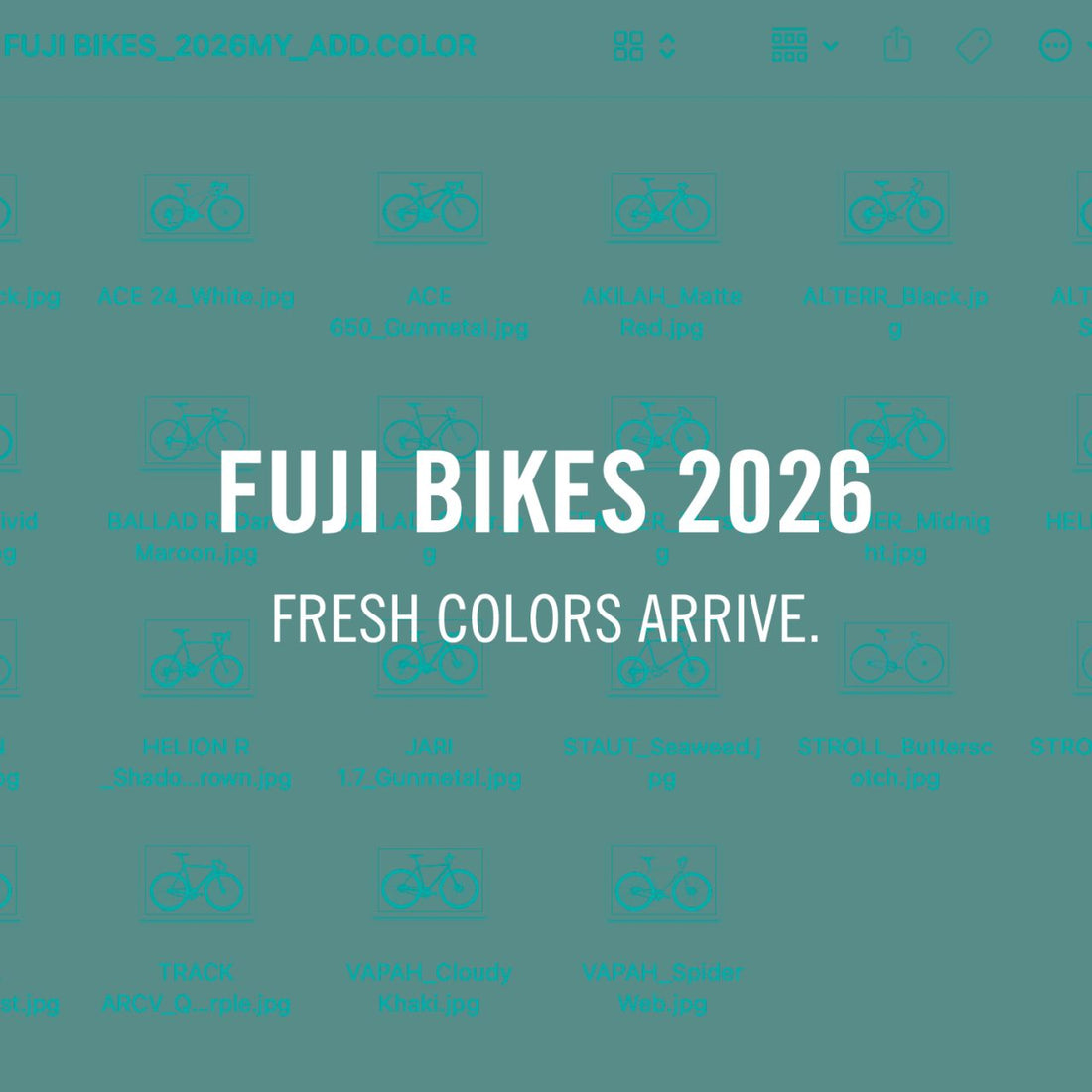 FUJI 2026年のニューカラーを発表！