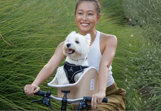 Canine Copilot 自転車用ペットシート