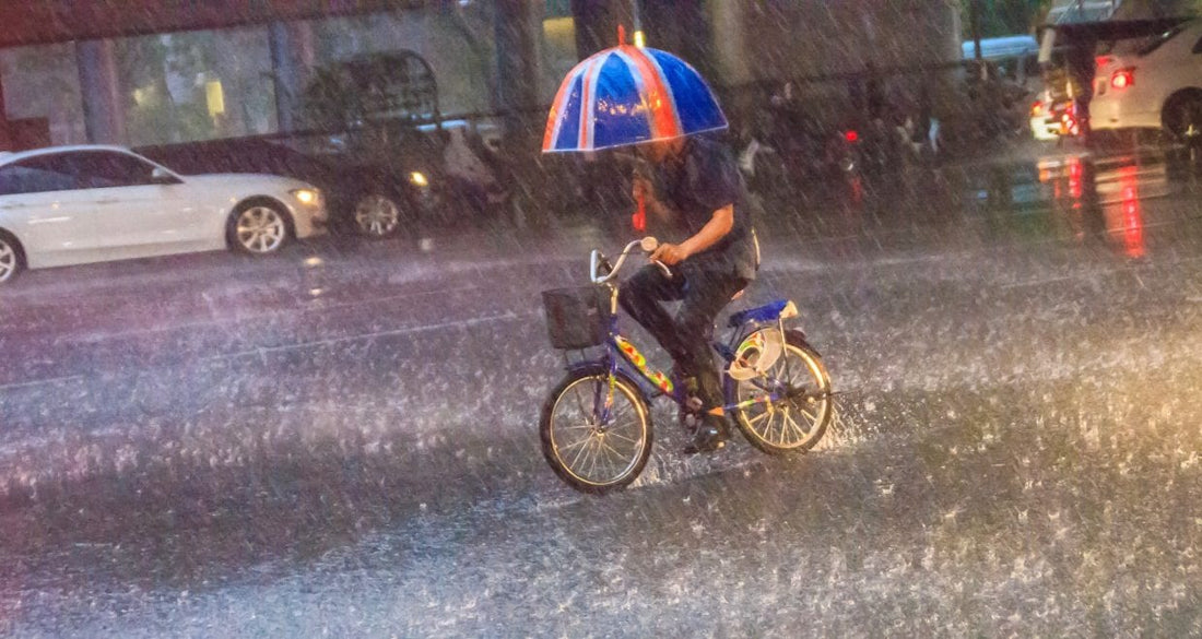 日本で一番自転車乗りの権利を考える*事務局長「自転車で傘は危険」