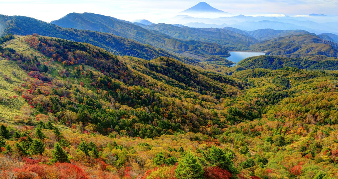 ロードバイクで甲州をヒルクライム！登山で人気の大菩薩峠へ絶景サイクリング