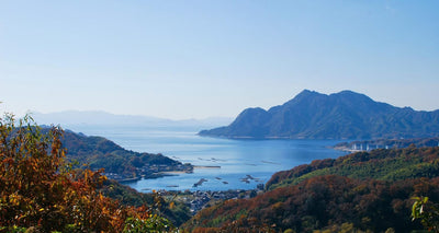 地元広島民おすすめ！江田島サイクリングの絶景・ヒルクライムとグルメ
