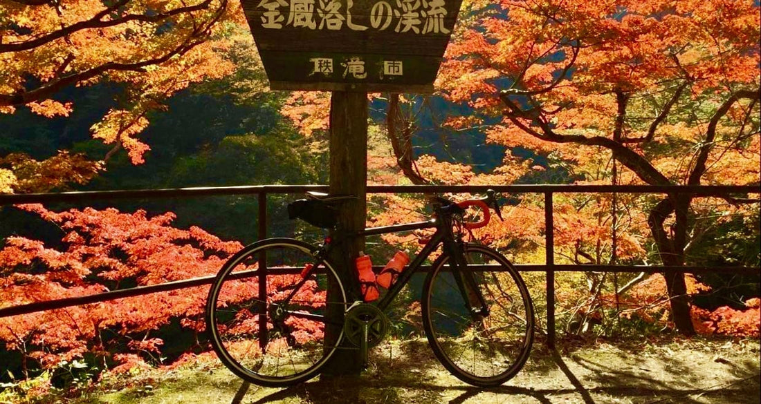 紅葉真っ盛り！ロードバイクで行く秋の秩父でヒルクライムとグルメを楽しもう！