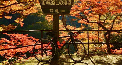 紅葉真っ盛り！ロードバイクで行く秋の秩父でヒルクライムとグルメを楽しもう！