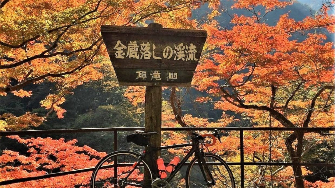 ロードバイクで行く関東の紅葉スポットおすすめ13選～ご褒美グルメを添えて～