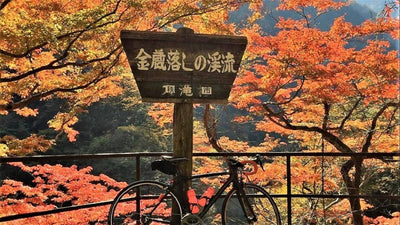 ロードバイクで行く関東の紅葉スポットおすすめ13選～ご褒美グルメを添えて～