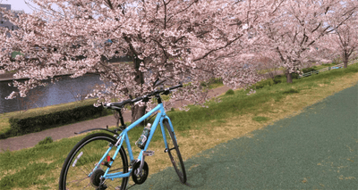 初心者のためのクロスバイク入門まとめ～購入から初めてのサイクリングまで