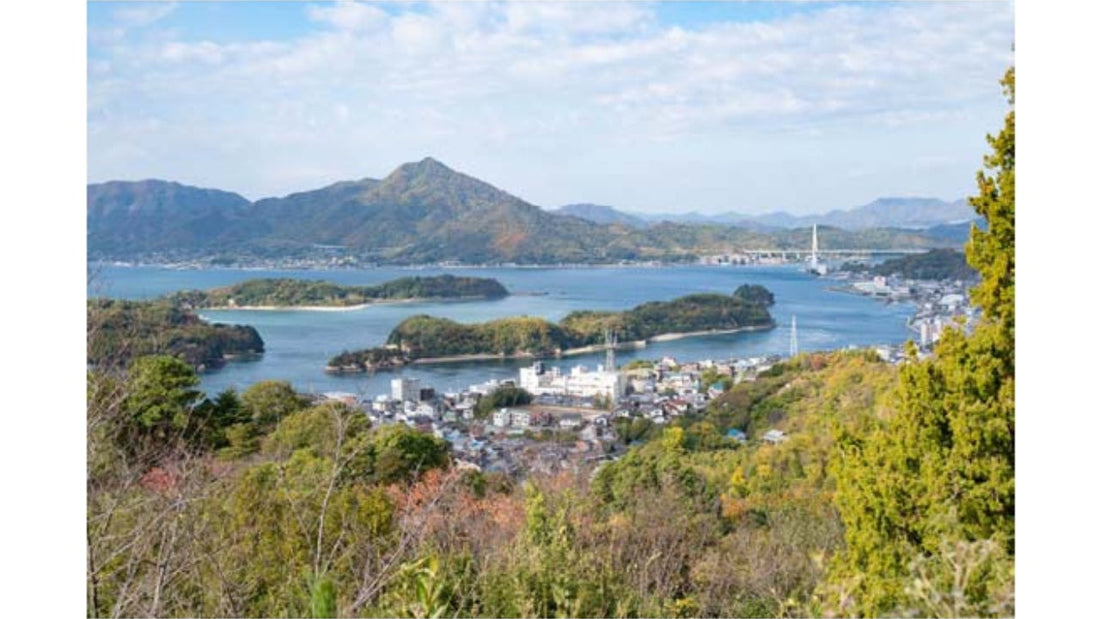 【因島サイクルツーリズム振興協議会】「グラベルの聖地®」オープン記念 自転車神社祭・開所式・サイクリングスタンプラリーを12月26日に開催