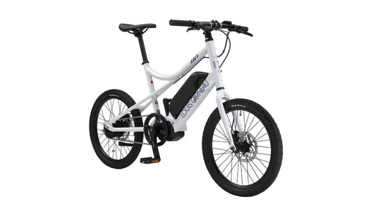 パワフルなアシストに自動変速機構を組み合わせた最先端E-BIKE 「EASEL INTER5E Di2 （イーゼル インター5イー）」5月初旬より販売開始