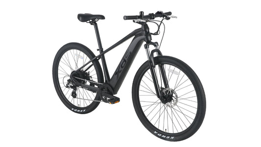 輸入代理店のXDS JAPANが再始動 e-BikeのADVANCE800を発表