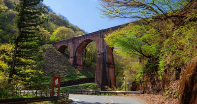 実は紅葉ヒルクライムにうってつけ！ロードバイクで登って碓氷峠を100倍楽しもう