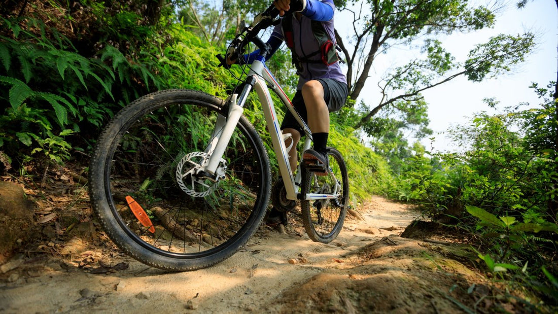 マウンテンバイク初心者必見！タイヤ選びのコツと種類別おすすめ6選